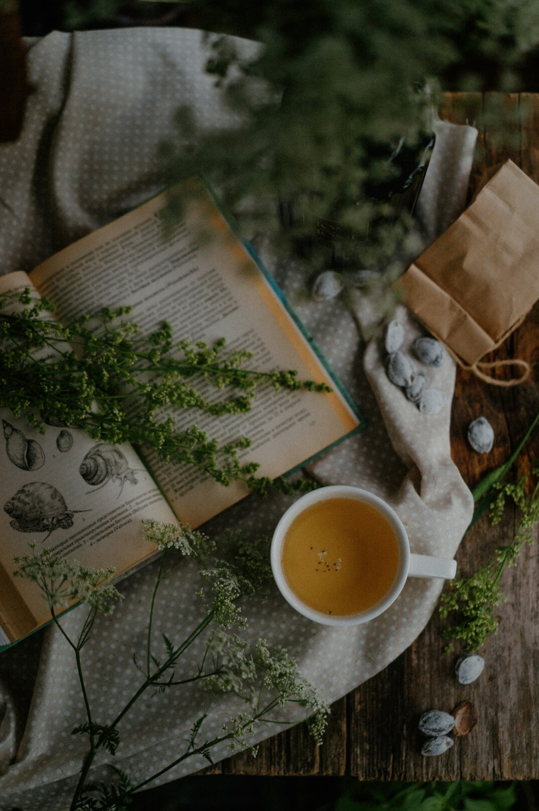 Book lying open on a table beside a cup of tea